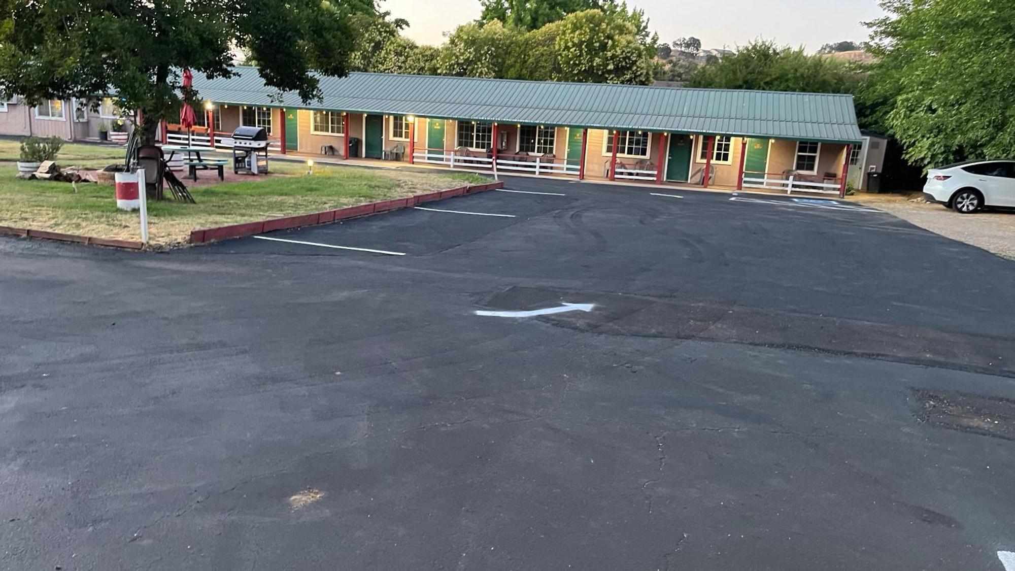 Jumping Frog Angels Camp